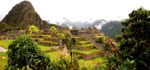 Camino Inca Jungle Machu Picchu