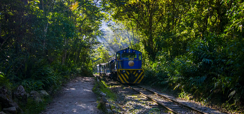 Camino Inca Jungle Machu Picchu