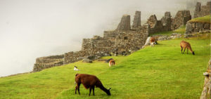 Machu Picchu Cusco 02 Dias - Tren Desde Poroy