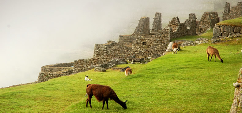 Machu Picchu Cusco 02 Dias - Tren Desde Poroy