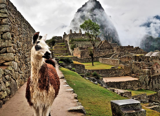 ¿CUÁNTO DINERO NECESITO PARA VIAJAR A CUSCO Y MACHU PICCHU? UN PRESUPUESTO DE VIAJE APROX