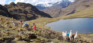 Trekking De Lares & Machu Picchu 4 Dias