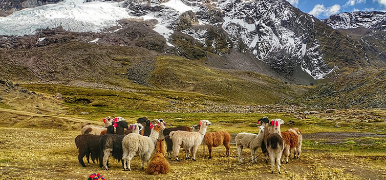 Cerro Colorado Montana Arcoiris Vinicunca