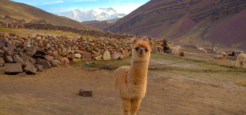 Cerro Colorado Montana Arcoiris Vinicunca