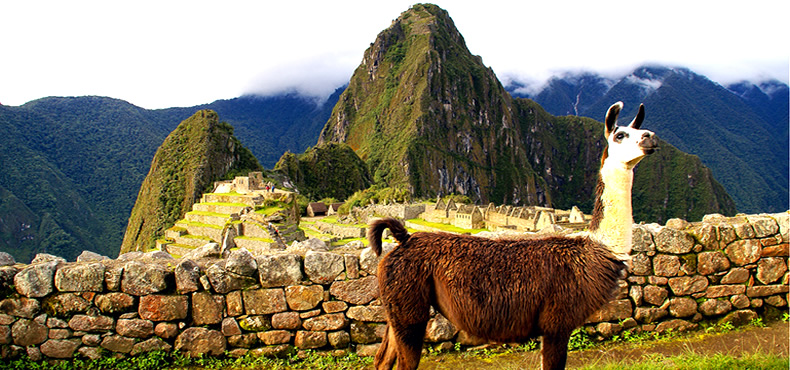 Tour Bus Machu Picchu + Huayna Picchu