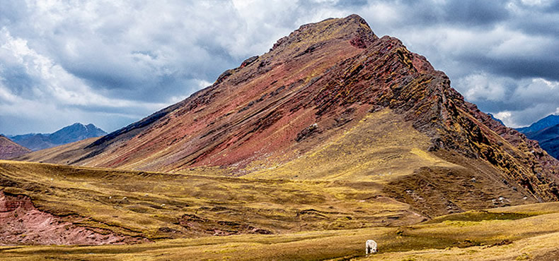 Tour Privado a la Montaña de Colores