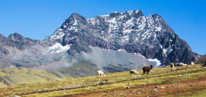 Tour Montaña de Siete Colores con Valle Rojo