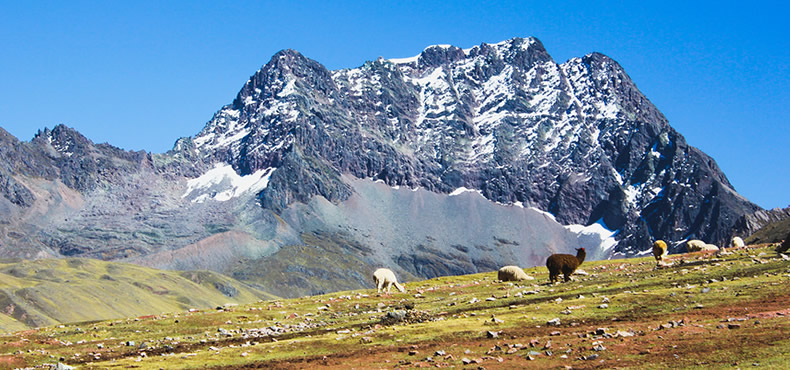 Tour Montaña de Siete Colores con Valle Rojo